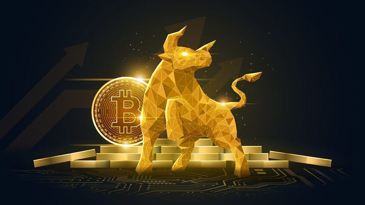 Bull Token BTC Earnings