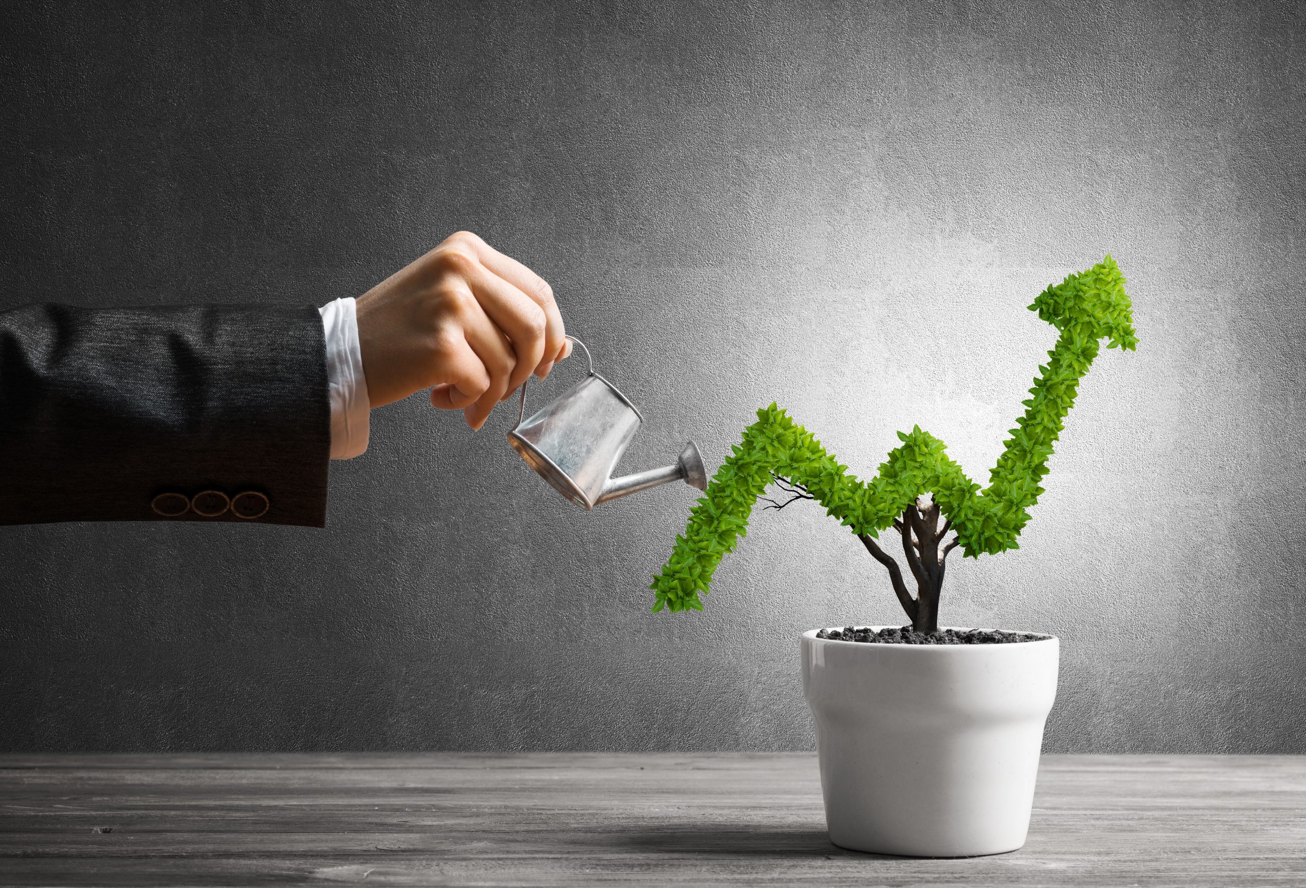 Growth-Boosting Polkadot