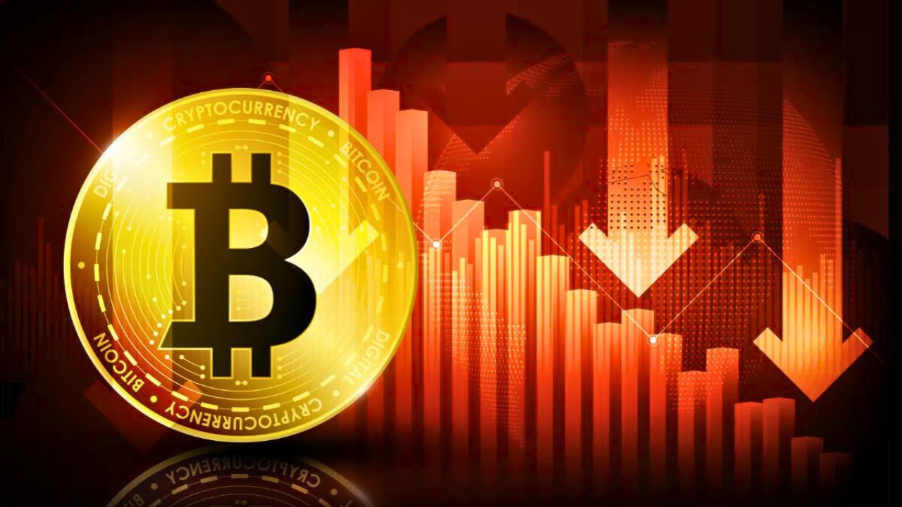 Crypto Cycle Keeps Repeating