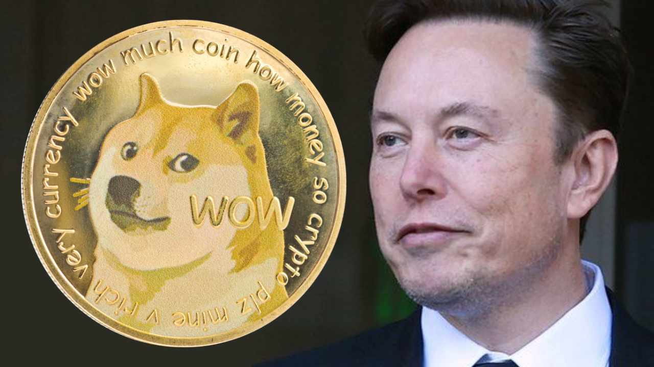 DOGE Struggles as Investors