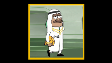 Mubarak Coin Crash