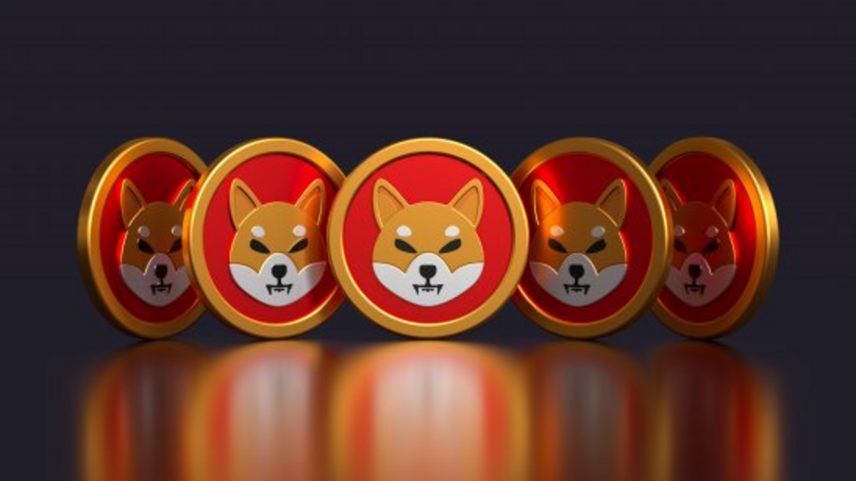 Shiba Inu Price Prediction