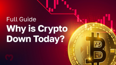 Why Is Crypto Down Today