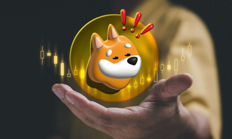 BONK Meme Coin