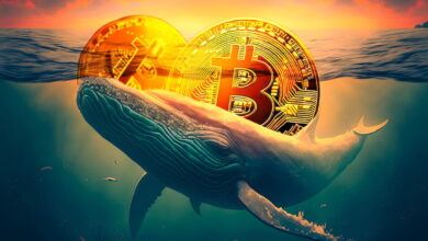 Bitcoin Price Drop