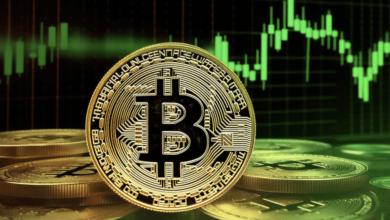 Bitcoin Price Hits