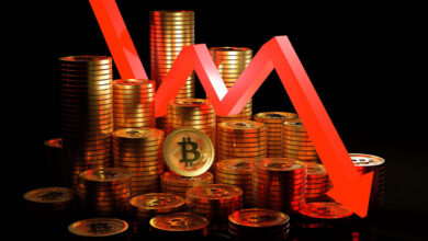 Bitcoin Price Swings