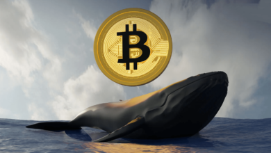 Bitcoin Whale Accumulation