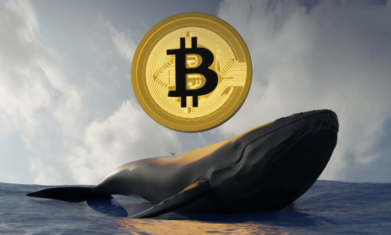 Bitcoin Whale Accumulation