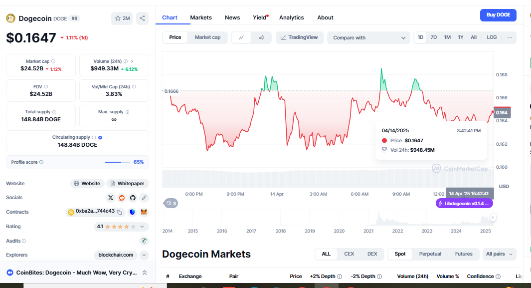 DOGE get past