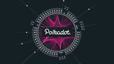 Polkadot’s Next Move