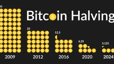 Bitcoin Halving Cycle