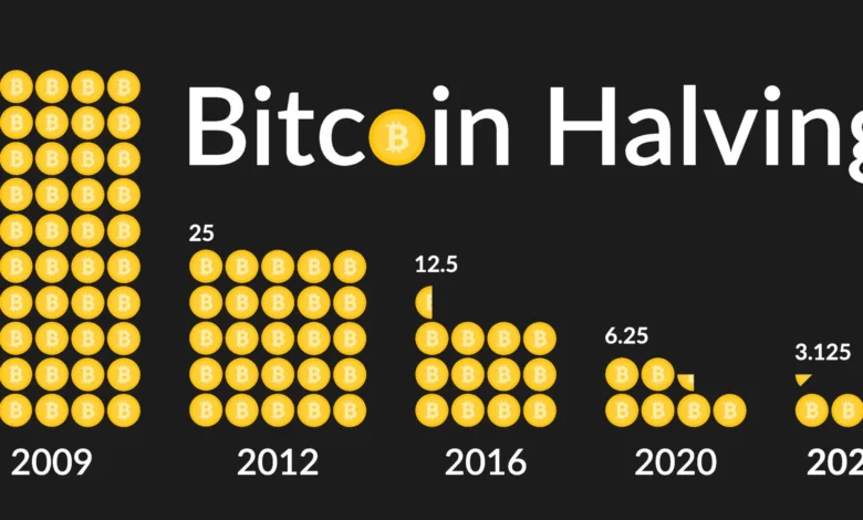 Bitcoin Halving Cycle