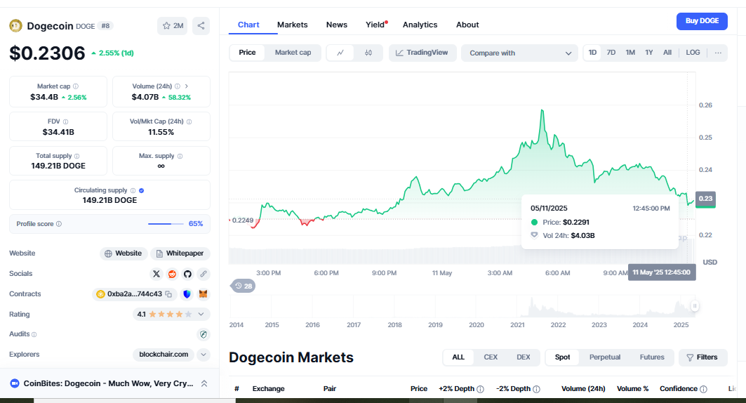 DOGECOIN TODAY PRICE