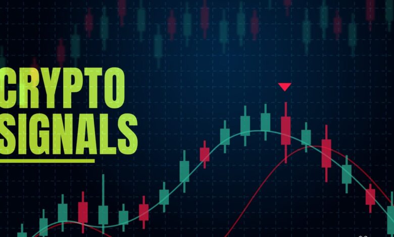 ZBCN Crypto Surges