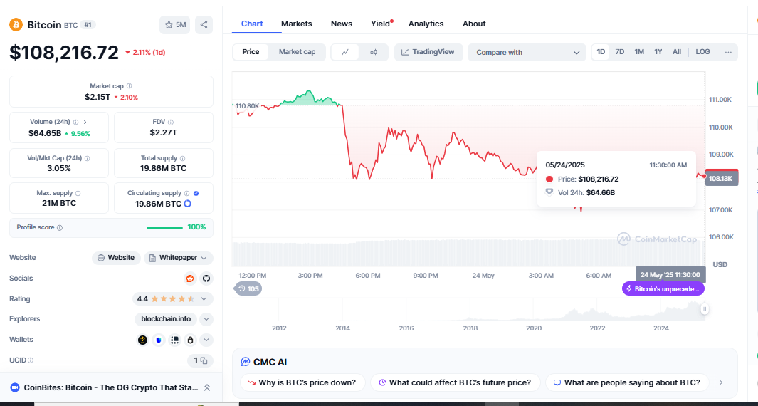 crypto bull run