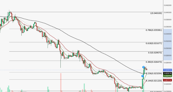 Best Bear Market Altcoins