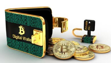 Bitcoin Hardware Wallets