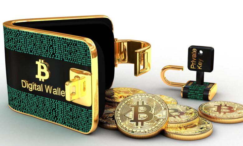 Bitcoin Hardware Wallets