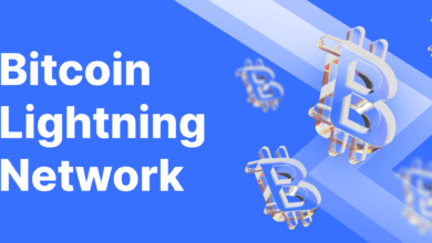 Bitcoin Lightning Network