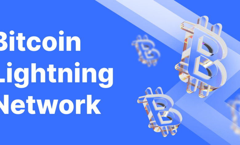 Bitcoin Lightning Network