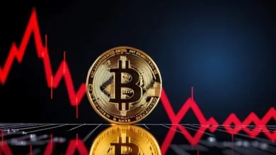 Bitcoin Price Correction