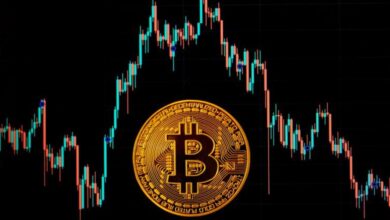 Bitcoin Price Down