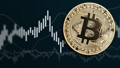 Bitcoin Prices and Market Volatility