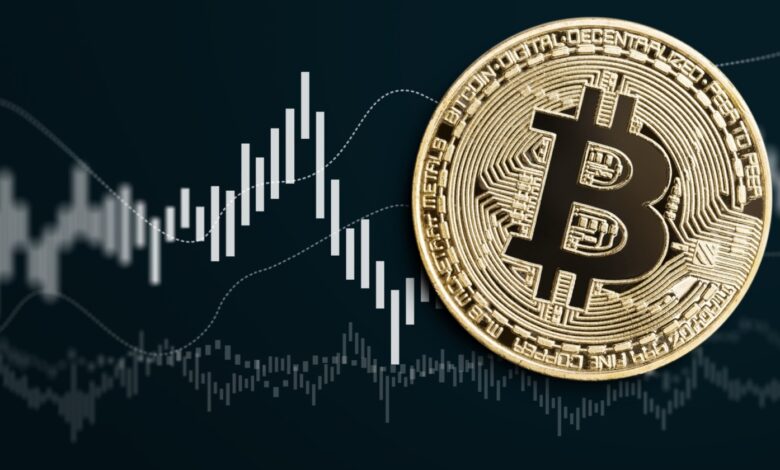 Bitcoin Prices and Market Volatility