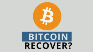 Bitcoin Recovery at Risk