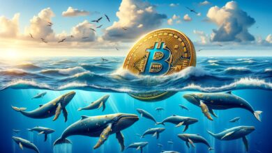 Bitcoin whale accumulation