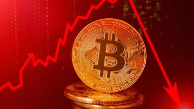 Crypto Crash