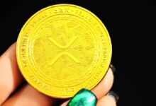 Crypto Price XPR