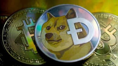 Dogecoin Eye