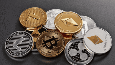 Altcoin vs Bitcoin Investment Guide 2025