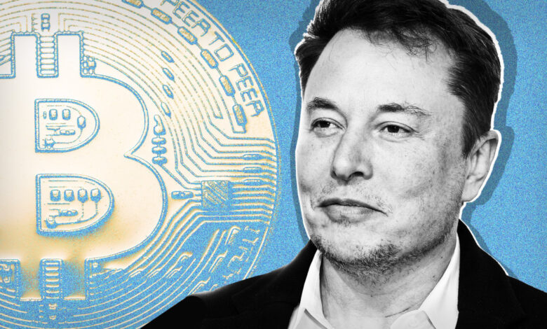 America Party Backs Bitcoin