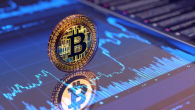 Bitcoin Price Fundamental
