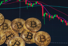 Bitcoin Price Today Steady at $118.5k