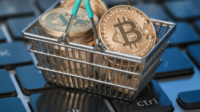 Bitcoin Price Trends