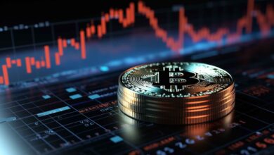 Crypto Market Optimism