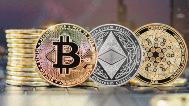 Crypto Market Update