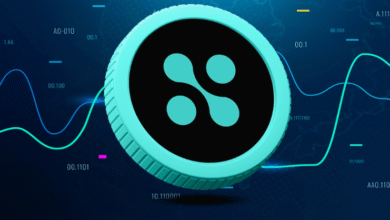 Current SPA Coin Market Performance