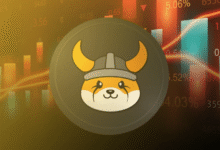 Floki Coin Price Prediction 2025-2030
