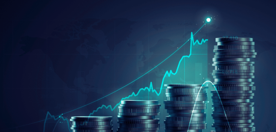 Investment Considerations and Risk Factors