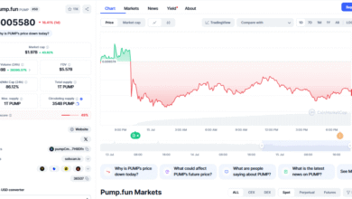 Pump fun Token Investment Strategy Guide