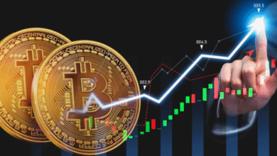 Why Bitcoin Could Hit $300k Next Year